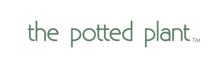 BRAND GENERIC Single the potted plant