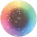 KEVIN.MURPHY COLOR Wall Colour Wheel