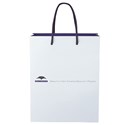 Milbon Large Paper Bag